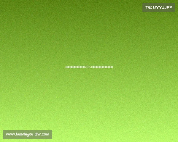 足球五大联赛转会市场分析：2023年各队投入与交易金额全景解析